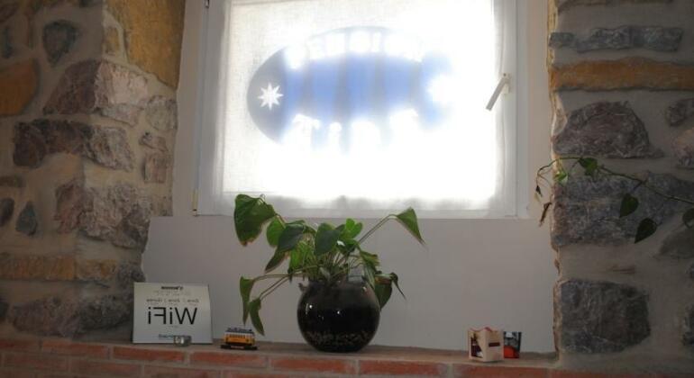 Pension Aida - Photo5