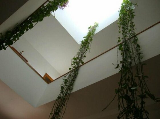 Casa Algaida - Photo3