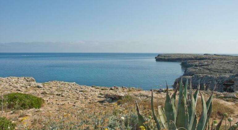 Binibeca Villas Menorca - Photo5