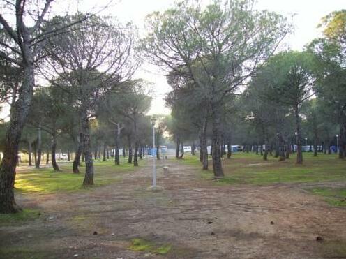 Camping Despenaperros - Photo3