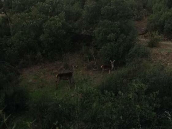 Holiday home El Jaral - Photo5