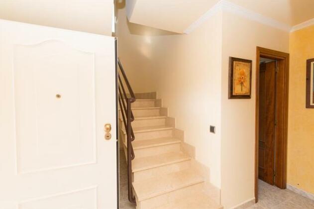 Seriola - Photo2