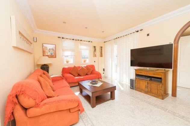Seriola - Photo4