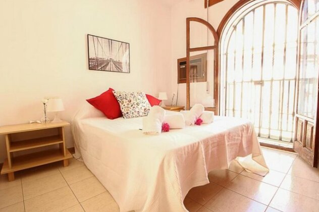 Deluxe Apartment Plaza Nueva - Photo2