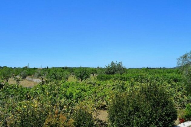 Sineu Villa 128 - Photo3