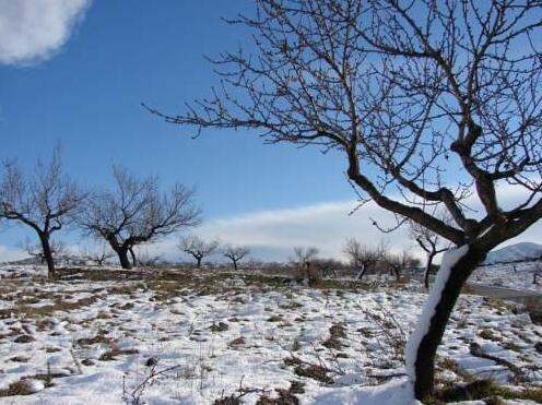 Cortijo Leontino - Photo4