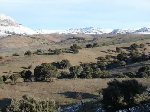 Cortijo Leontino - Photo5