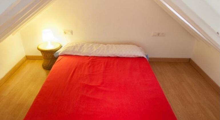 LivingTarifa Centro - Photo4