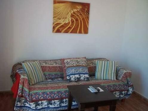 Ammi - Photo3