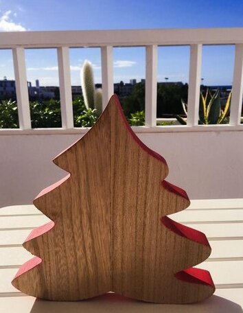 Cherry - Photo3