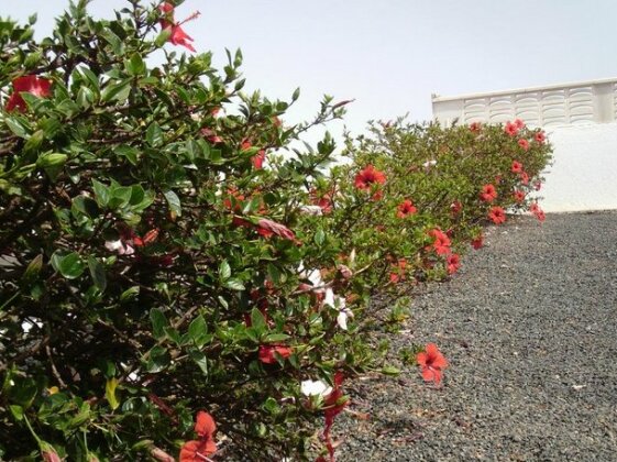 Plain of Flowers B&B - Photo3