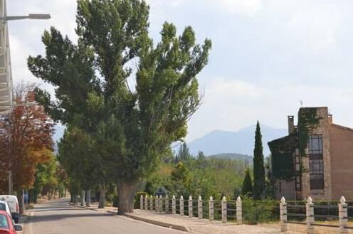 Moncayo Rural