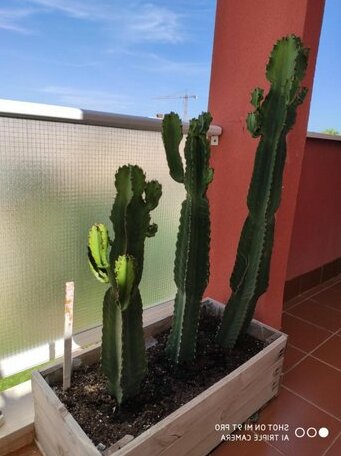 Apartamento Belmonte
