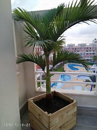 Apartamento Belmonte - Photo4