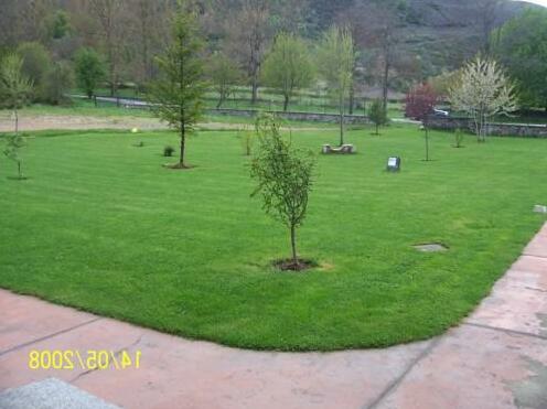 Hotel La Mora - Photo4