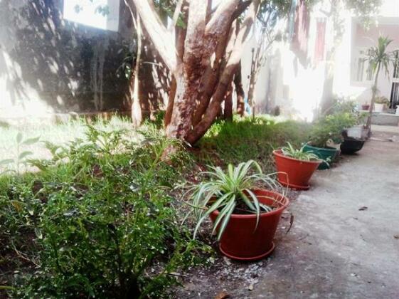 Selam Bed and Breakfast - Photo5