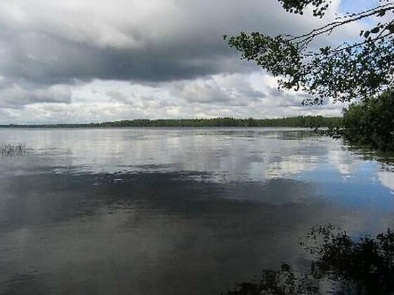 Niittymokki - Photo5