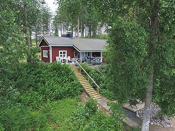 Punatulkku seeteri - Photo3