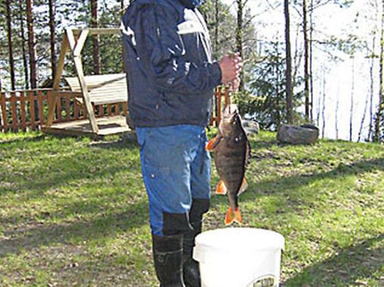 Wilkkila - Photo5