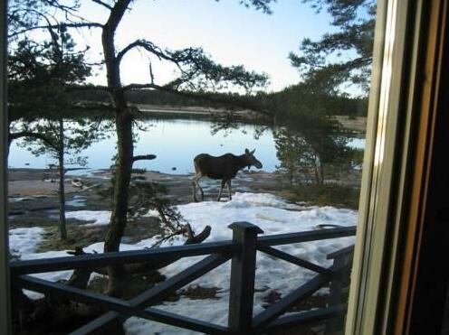 Sandosund Resort - Photo5