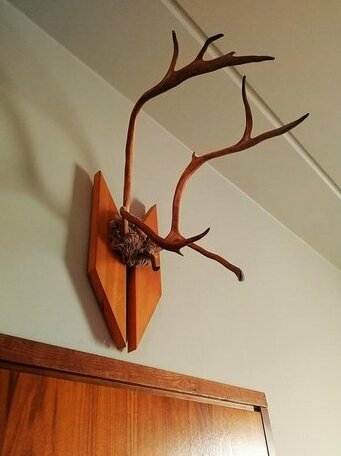 Hotel Hansabar - Photo3