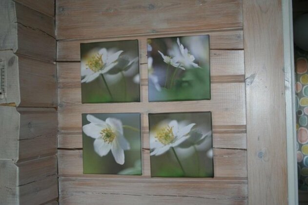 Ekstroms Stugor - Photo2