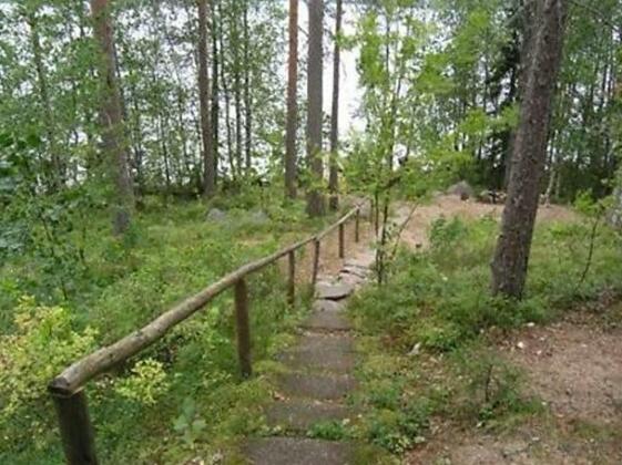 Keskimokki - Photo3