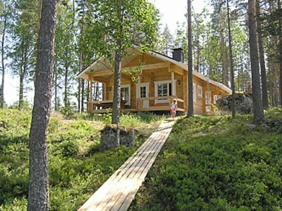 Pajulintu - Photo2
