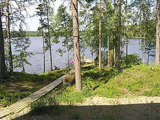 Pajulintu - Photo4