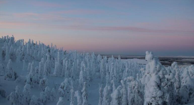 Rukanhuippu - Photo3