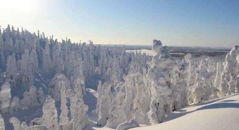 Rukanhuippu - Photo4