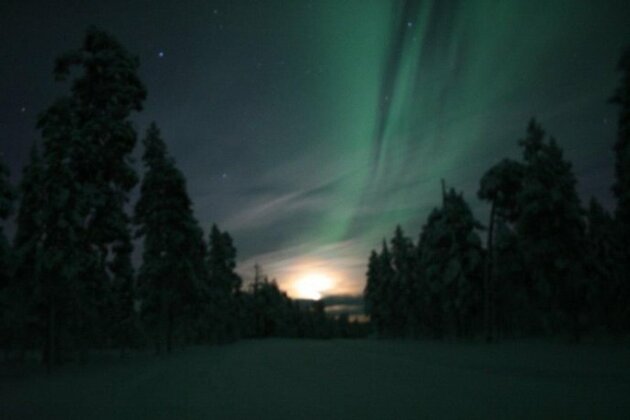 Aurora Cabins