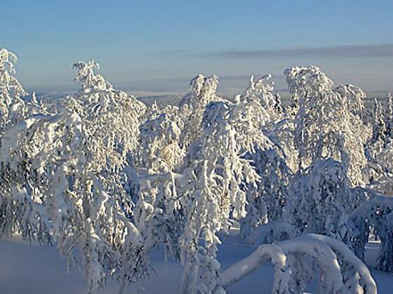 Kivakko - Photo5