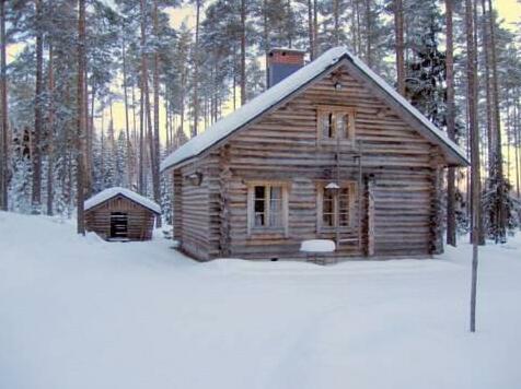 Forest Cottage - Photo3