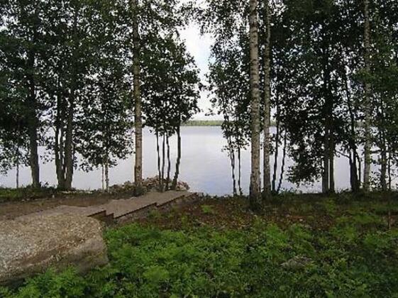 Saukko - Photo5