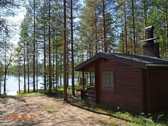 Valikosken puolukka - Photo5