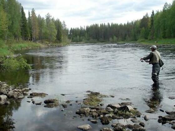 Hirvipirtit - Photo4