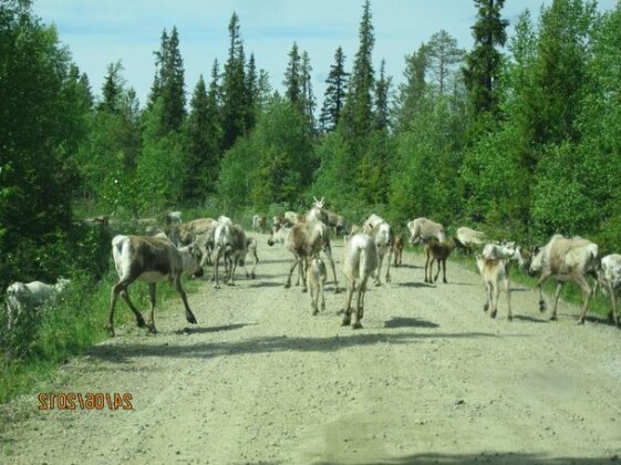 Ranta Aarela - Photo4