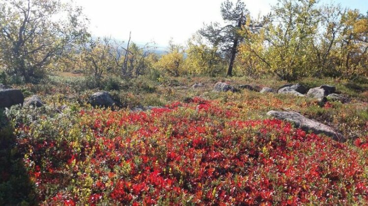 Ranta Aarela - Photo5