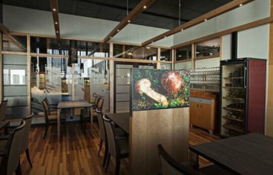 Rokua Health & Spa - Photo4