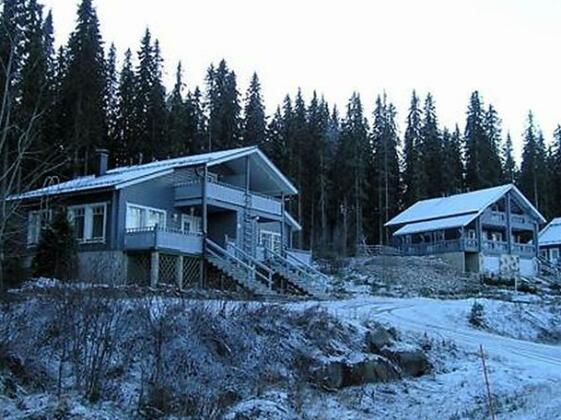 Sinivuokko - Photo5