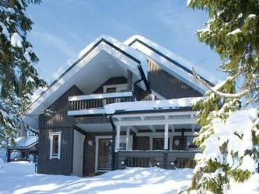 Vuokatin Aateli Villas