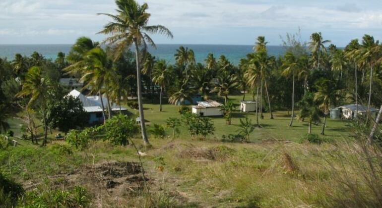 Safe Landing Resort - Photo5