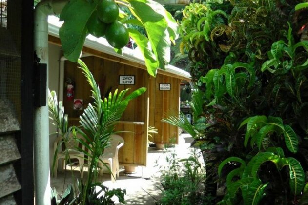 Gecko Lodge Fiji - Photo2