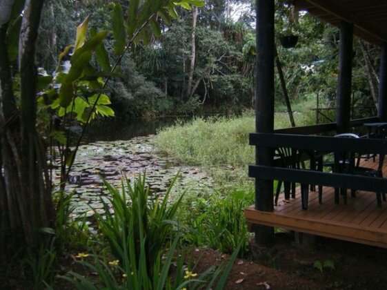 Colo-I-Suva Rainforest Eco Resort - Photo2