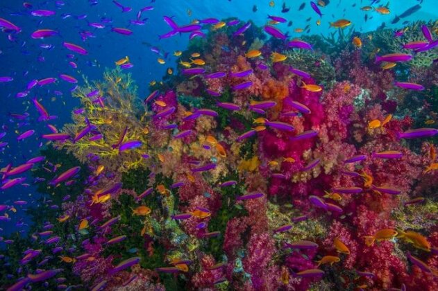 Sau Bay Fiji Retreat - off Taveuni