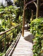 The Pathways Hotel - Photo2