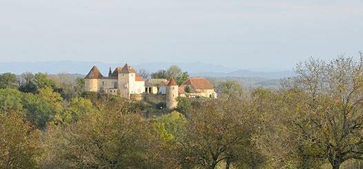 Chateau de Cantecor - Photo2
