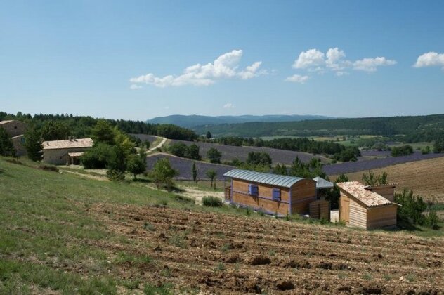 Aurel inattendu - Photo4