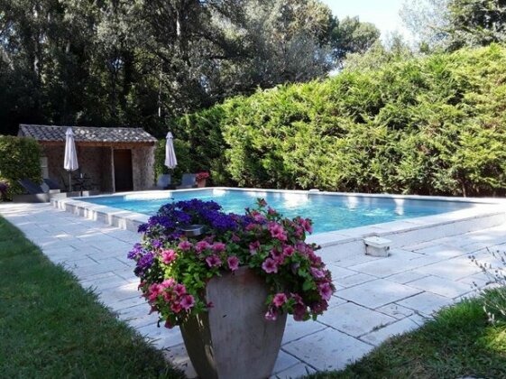 Mas de l'ile - Photo5